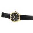 Q&Q men's watch with gold case and luminous hands, water resistant to 5 bar