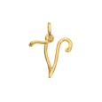 Gold plated letter V pendant