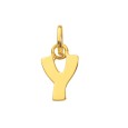 Gold plated pendant capital letter Y