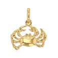 Gold Plated Zodiac Sign Pendant - Cancer