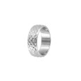 polished stainless steel ring chiseled