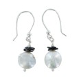 Silver and natural stone earrings